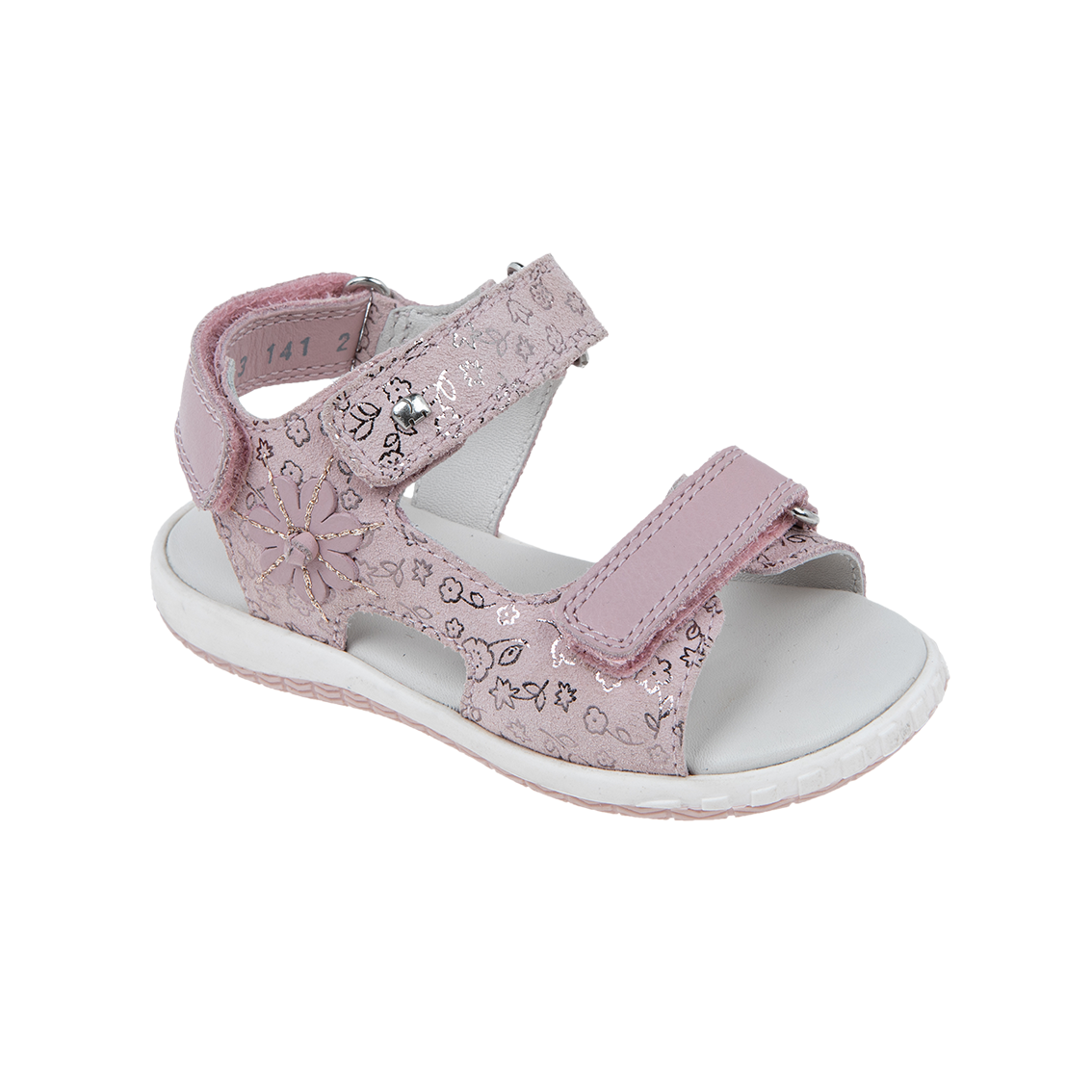  - נעלי נמרוד