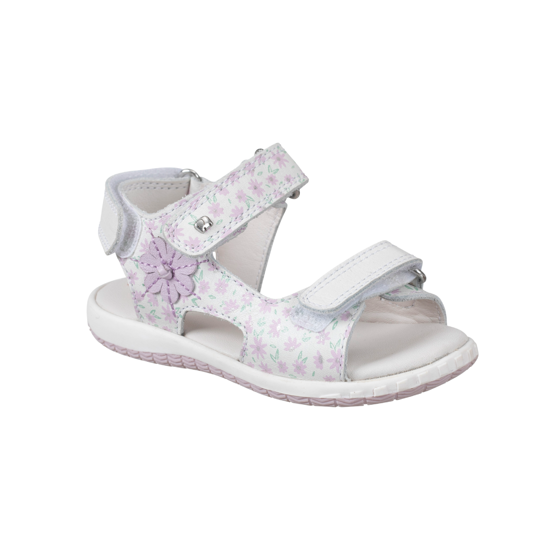  - נעלי נמרוד