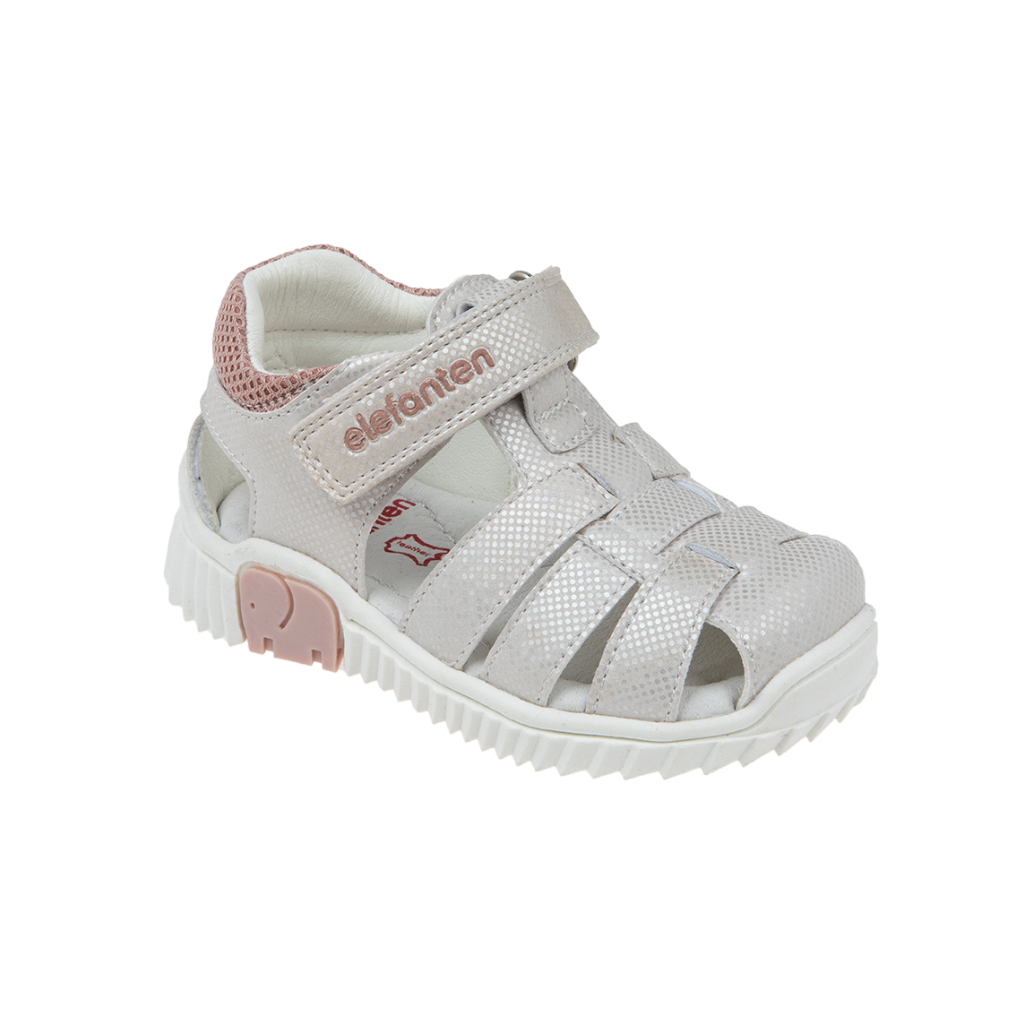  - נעלי נמרוד