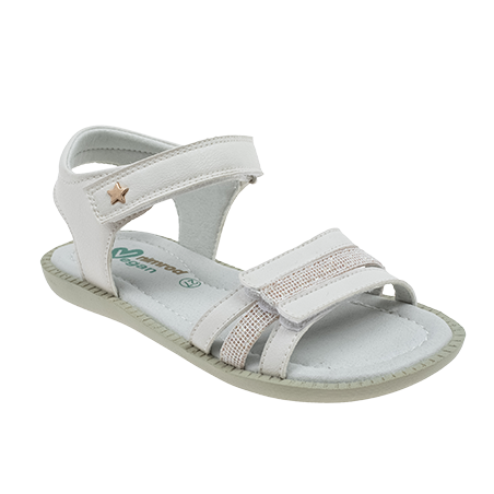  - נעלי נמרוד