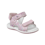 סנדלי פעוטות NIKKI אלפנטן - נעלי נמרוד