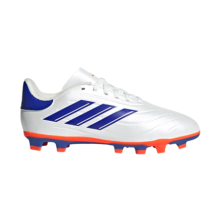  - נעלי נמרוד