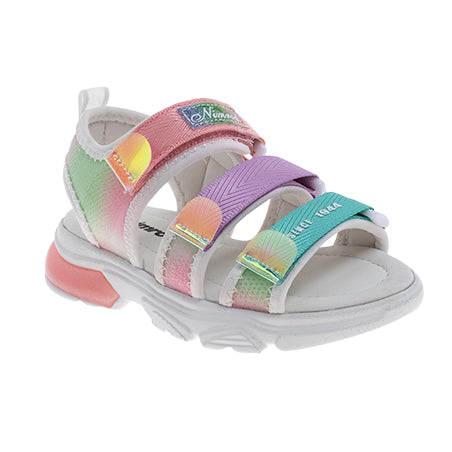  - נעלי נמרוד