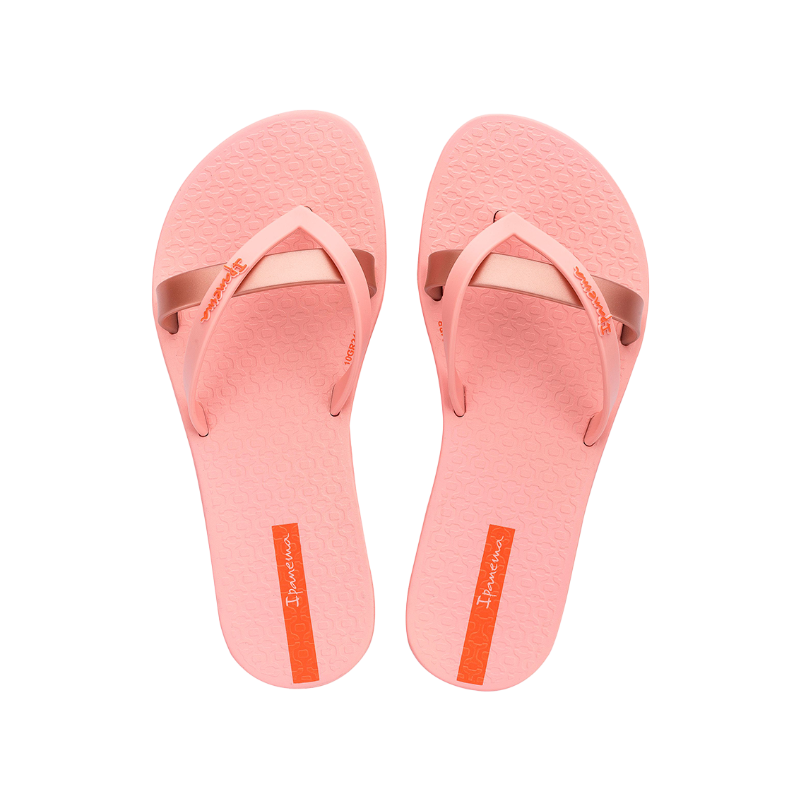  - נעלי נמרוד