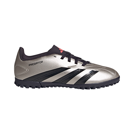  - נעלי נמרוד