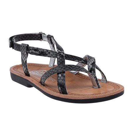  - נעלי נמרוד