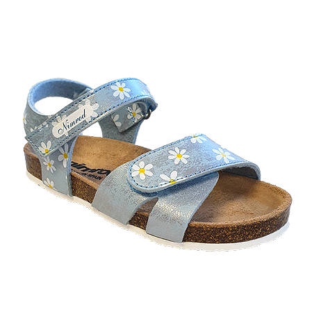  - נעלי נמרוד