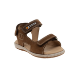 סנדלי פעוטות NIKKI אלפנטן - נעלי נמרוד