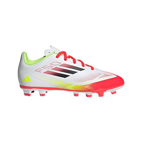  - נעלי נמרוד