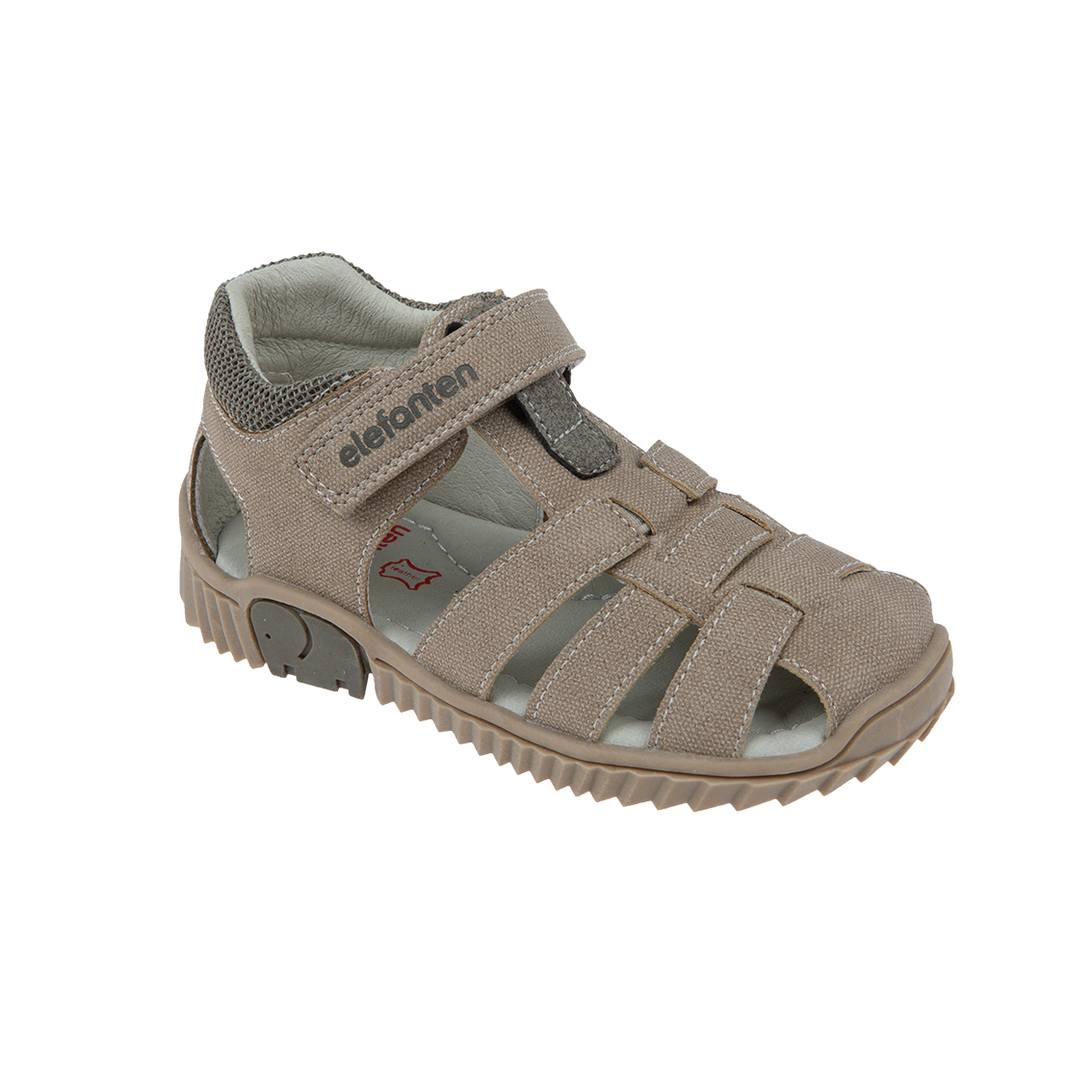  - נעלי נמרוד