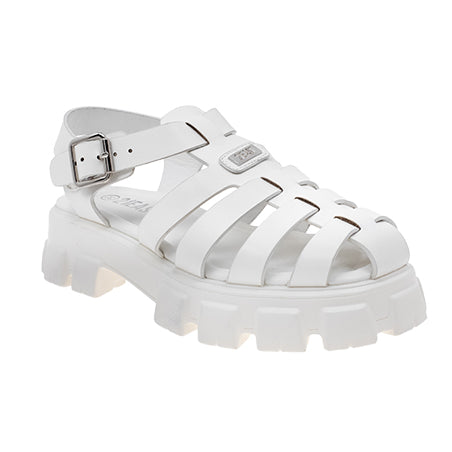  - נעלי נמרוד