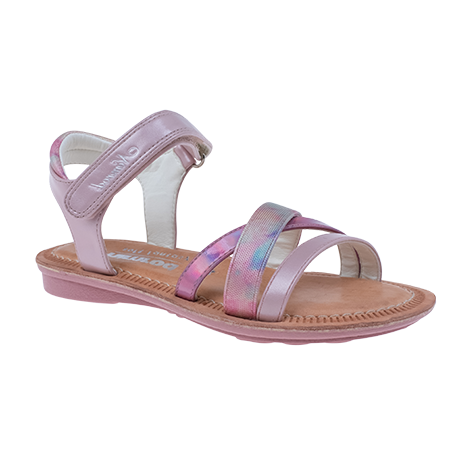  - נעלי נמרוד