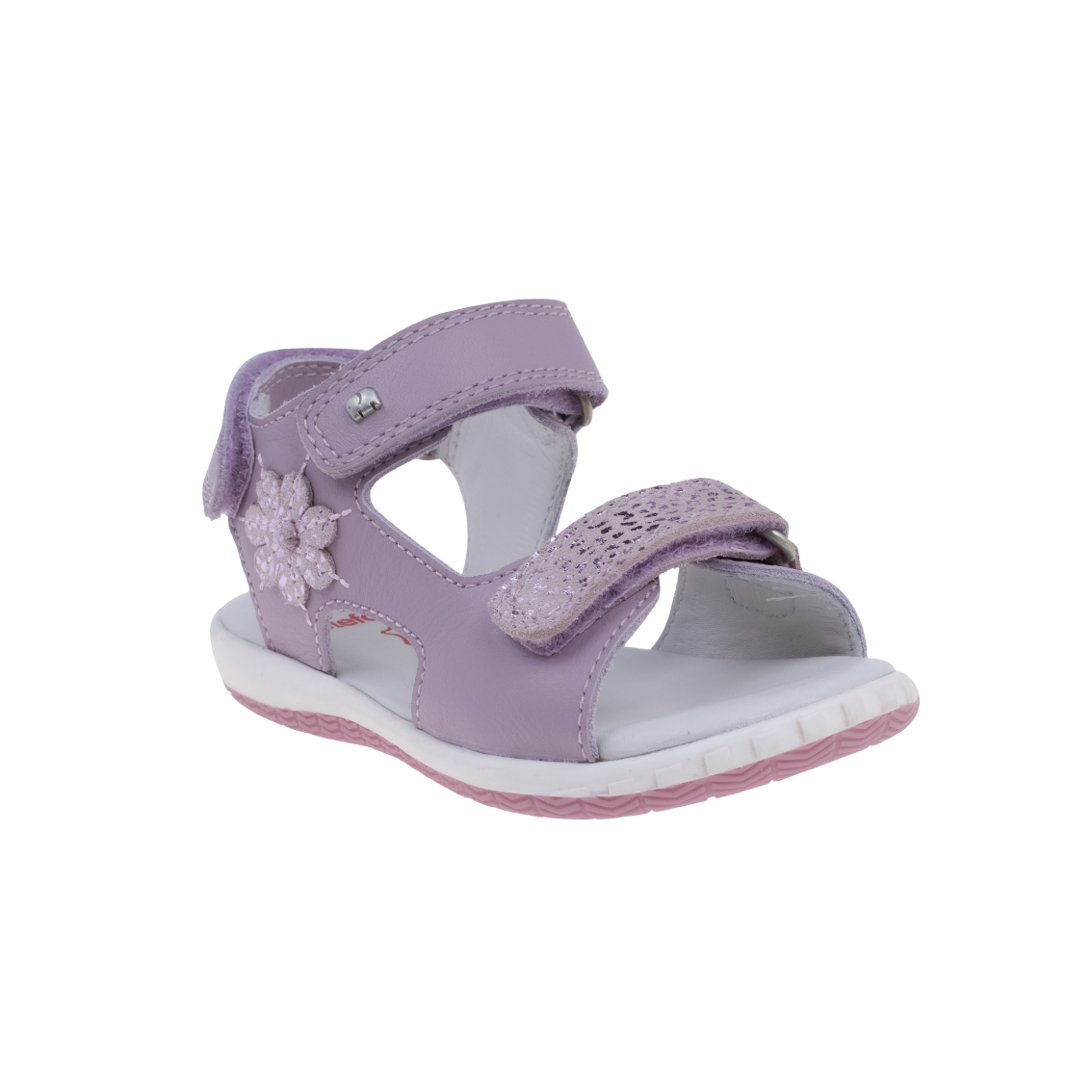  - נעלי נמרוד