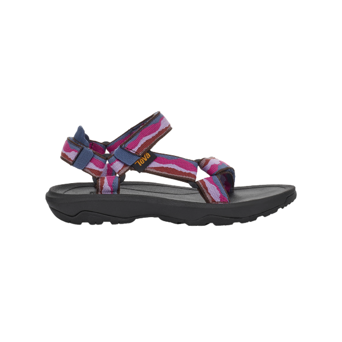  - נעלי נמרוד