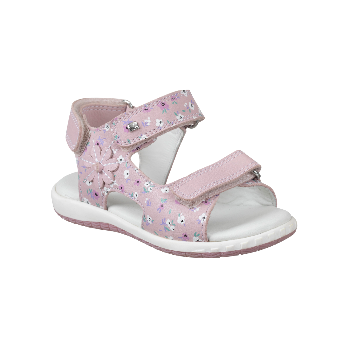  - נעלי נמרוד