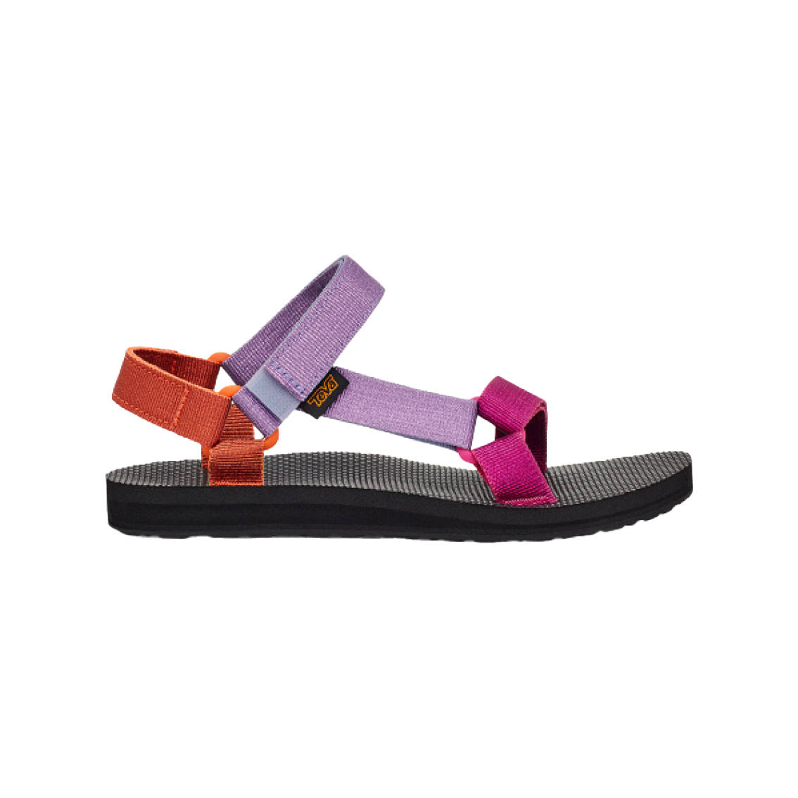  - נעלי נמרוד