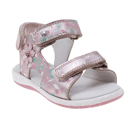  - נעלי נמרוד