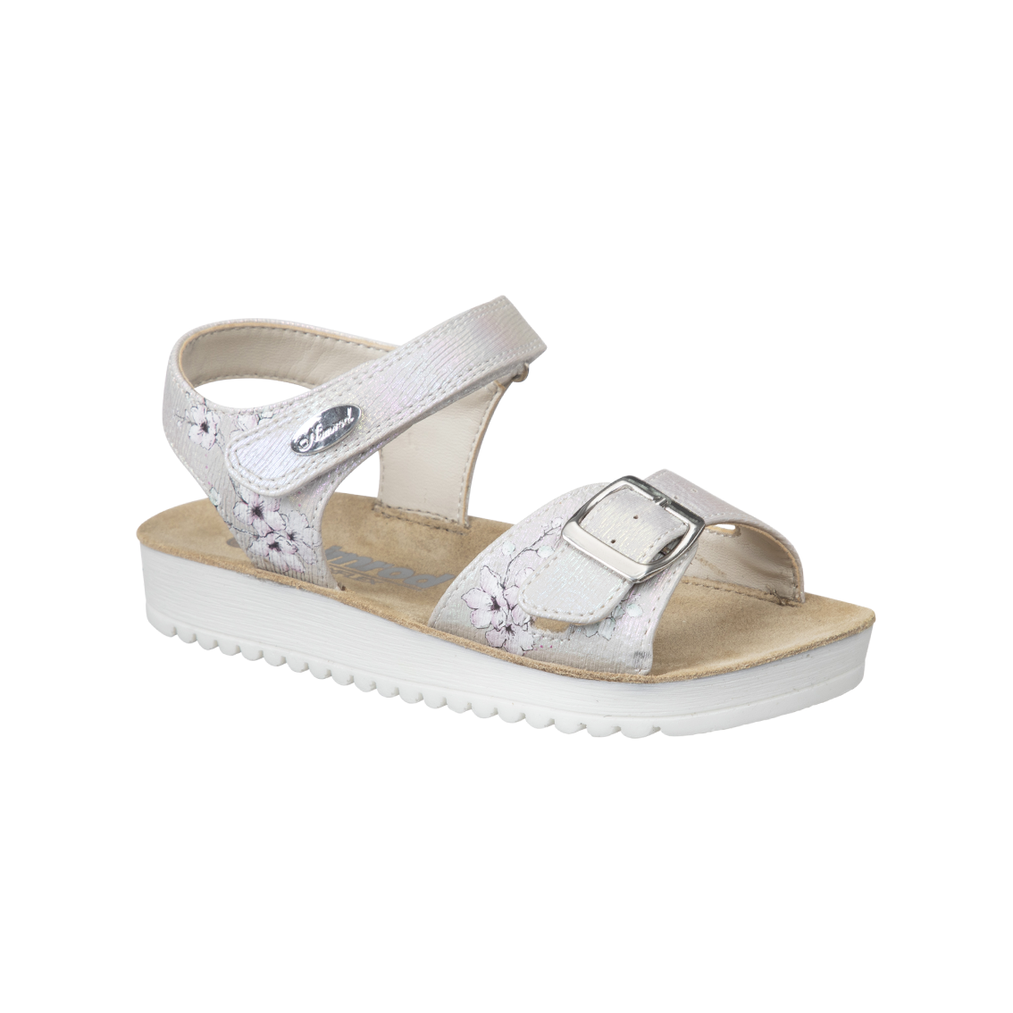  - נעלי נמרוד