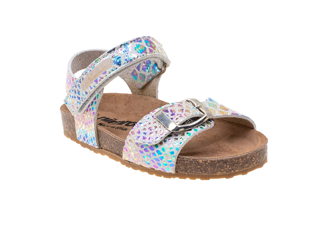  - נעלי נמרוד