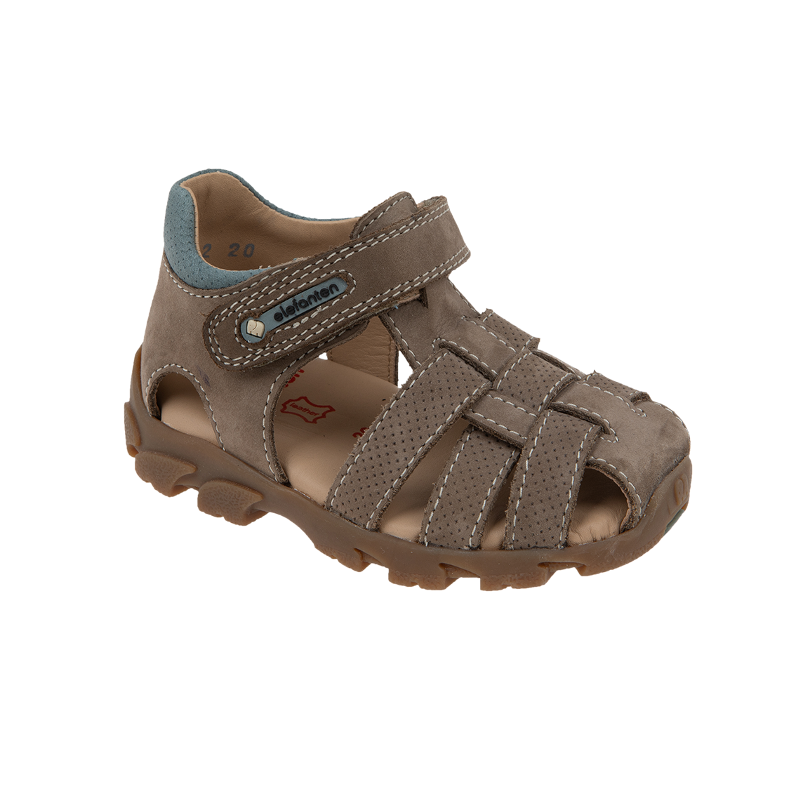  - נעלי נמרוד