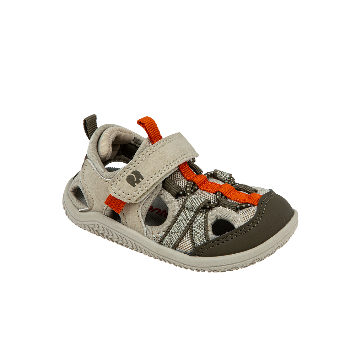  - נעלי נמרוד