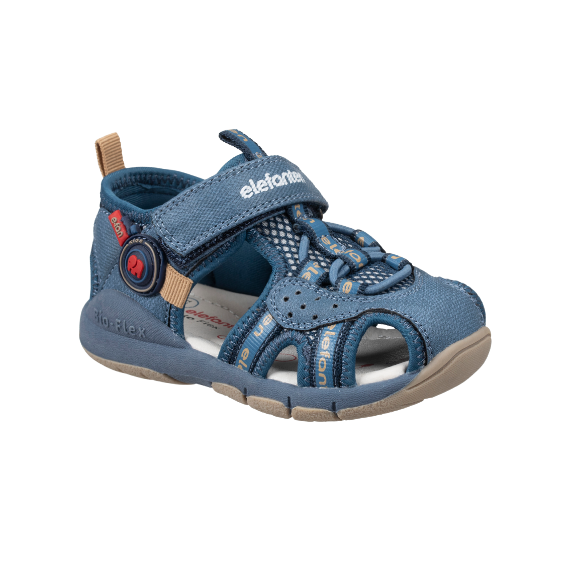  - נעלי נמרוד