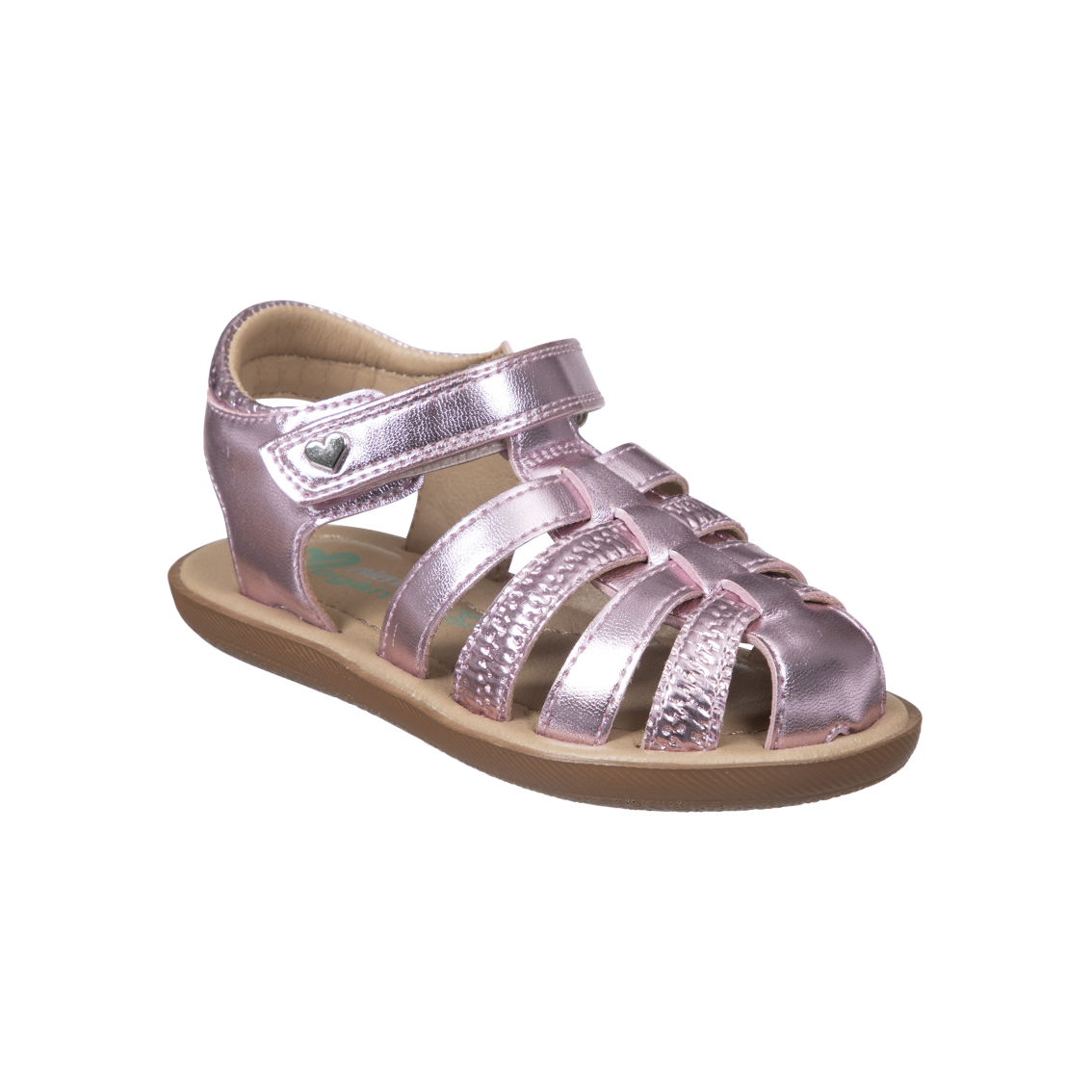  - נעלי נמרוד