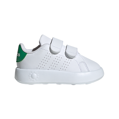  - נעלי נמרוד