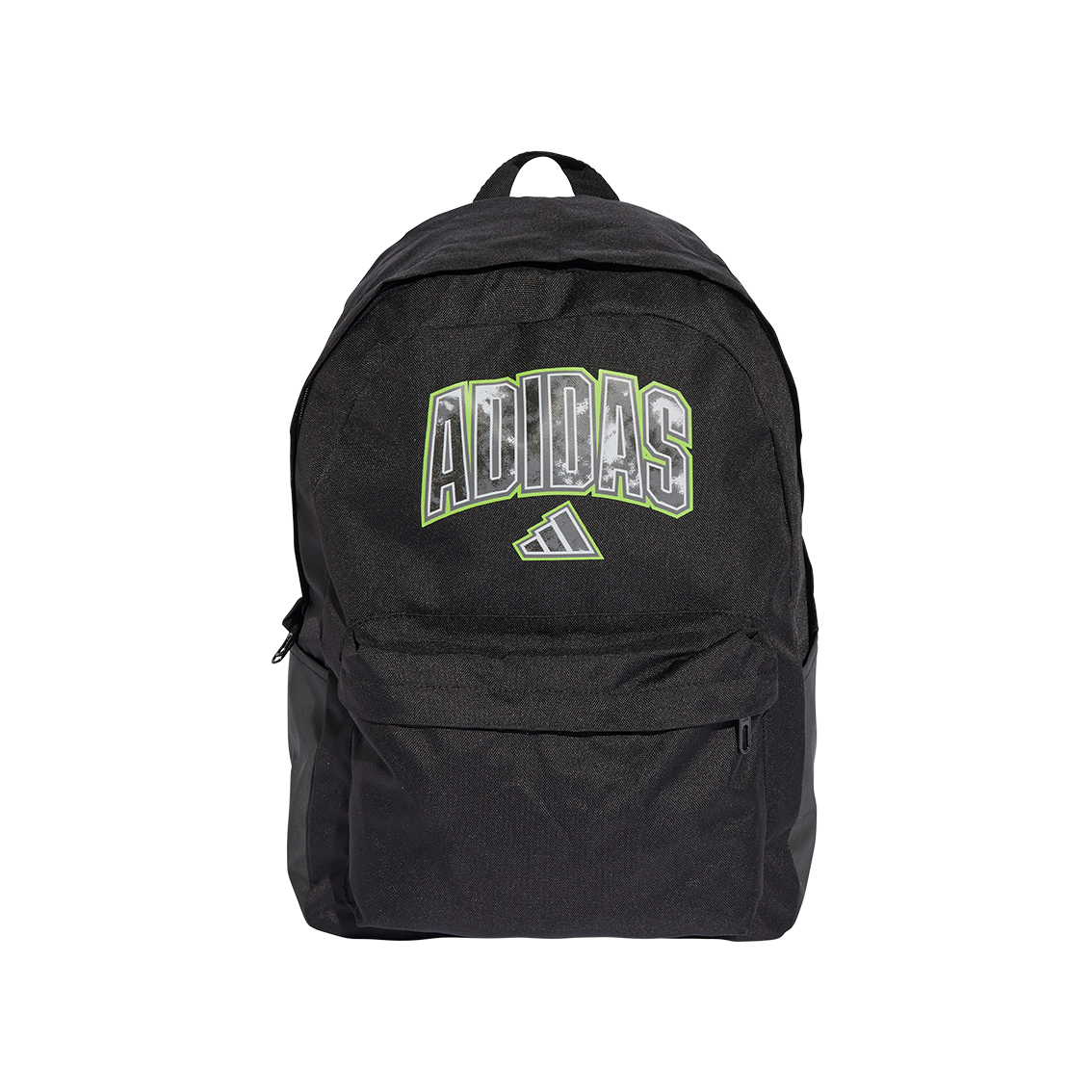  - נעלי נמרוד