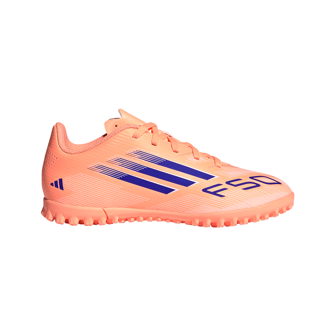  - נעלי נמרוד