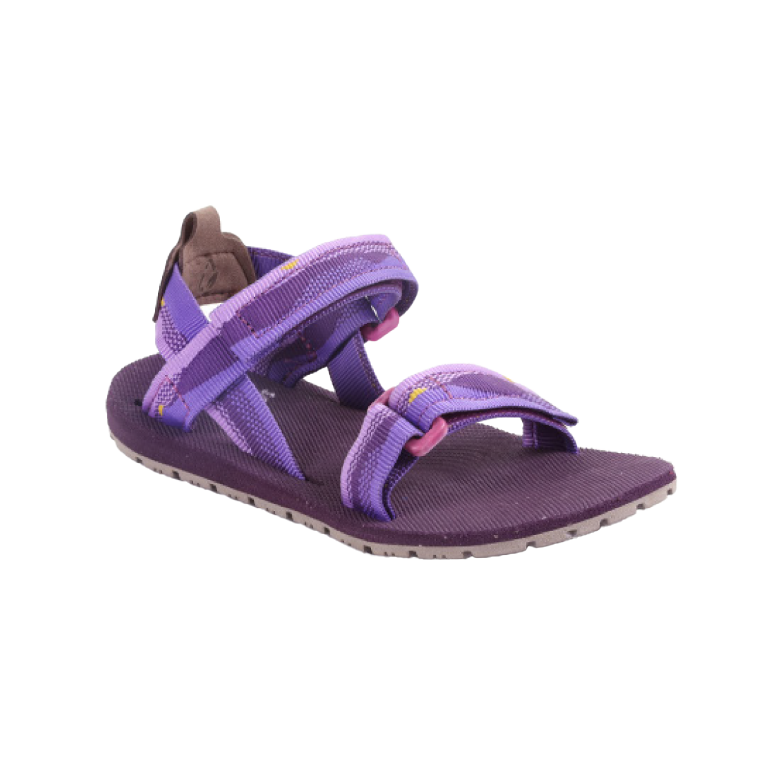  - נעלי נמרוד