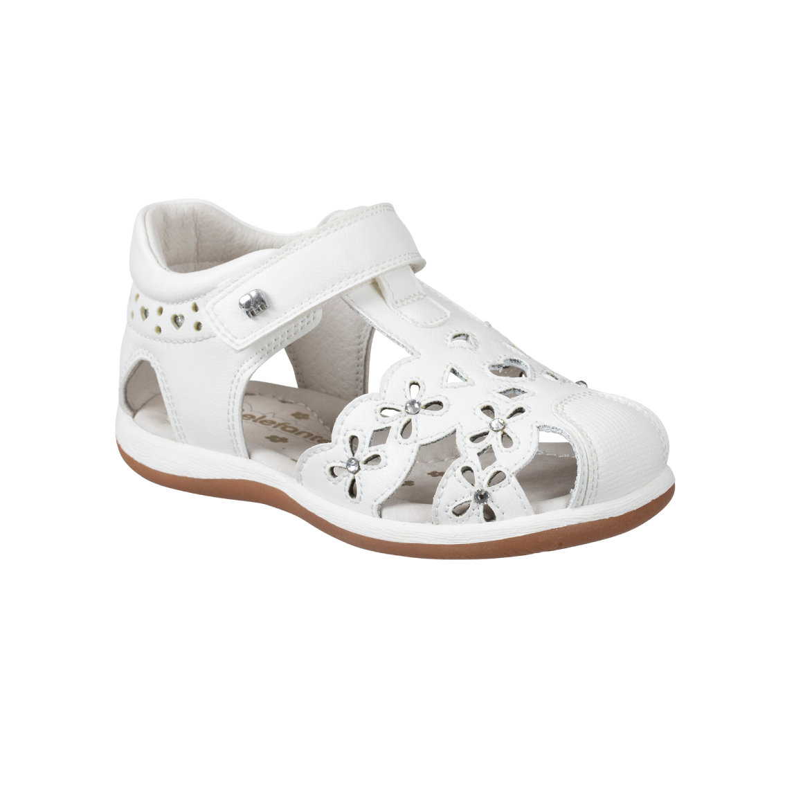  - נעלי נמרוד