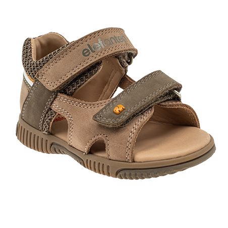  - נעלי נמרוד