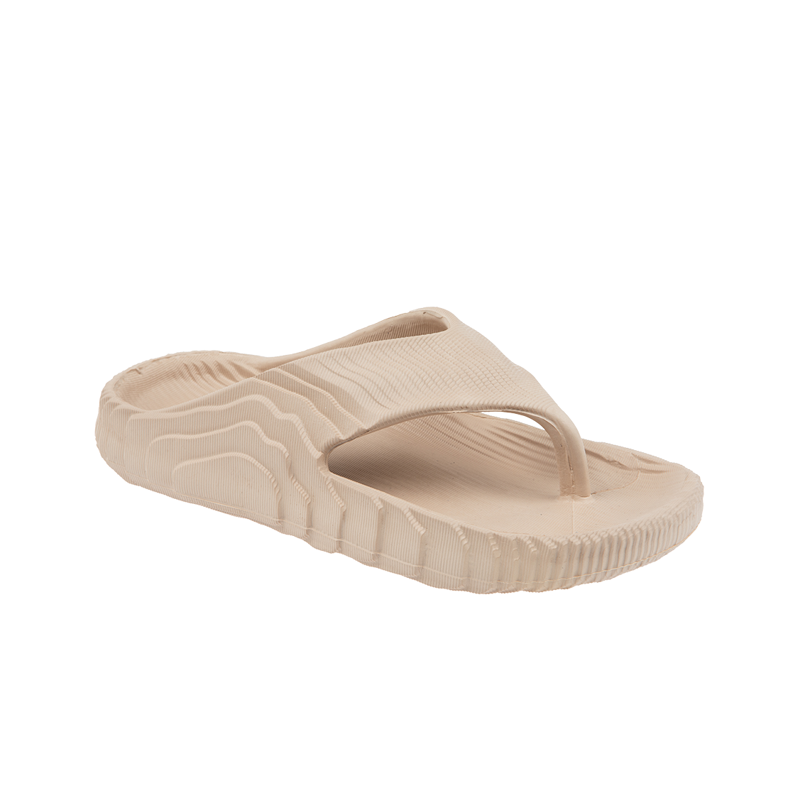  - נעלי נמרוד