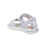 סנדלי אלפנטן פעוטות - נעלי נמרוד