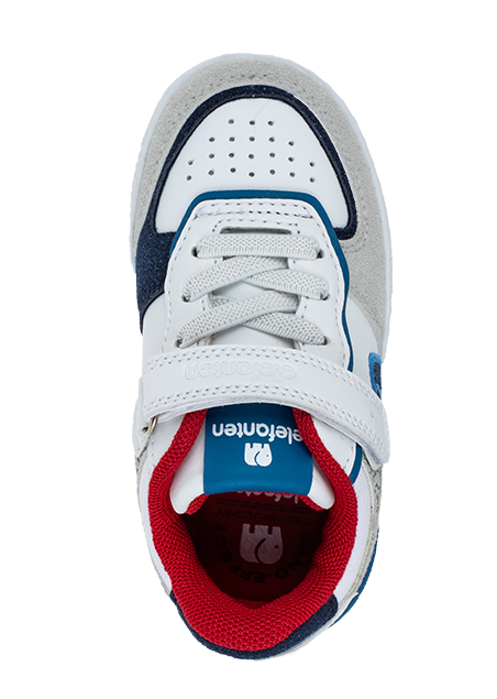 נעלי ספורט אופנה אלפנטן - נעלי נמרוד