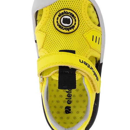 נעלי ים לייקרה אלפנטן - נעלי נמרוד