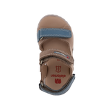 סנדלי פעוטות NIKKI אלפנטן - נעלי נמרוד