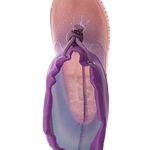 מגפי גשם חד קרן - נעלי נמרוד