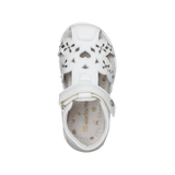 סנדלי פעוטות אלפנטן - נעלי נמרוד