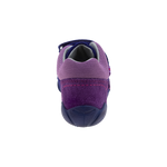 צעד ראשון אלפנטן FREE - נעלי נמרוד