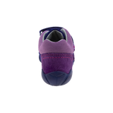 צעד ראשון אלפנטן FREE - נעלי נמרוד