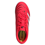 ID3805 - נעלי נמרוד