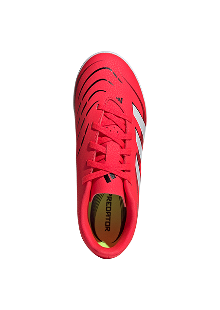 ID3805 - נעלי נמרוד