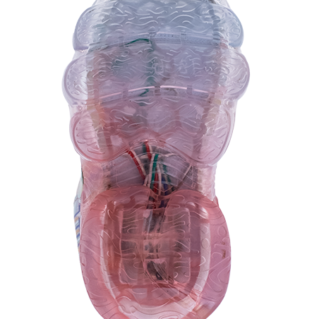 מגפון סקי תאורה אלפנטן WATERPROOF - נעלי נמרוד