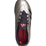 IF6420 - נעלי נמרוד