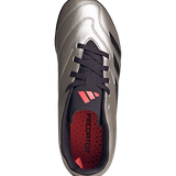 IF6420 - נעלי נמרוד