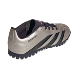 IF6420 - נעלי נמרוד