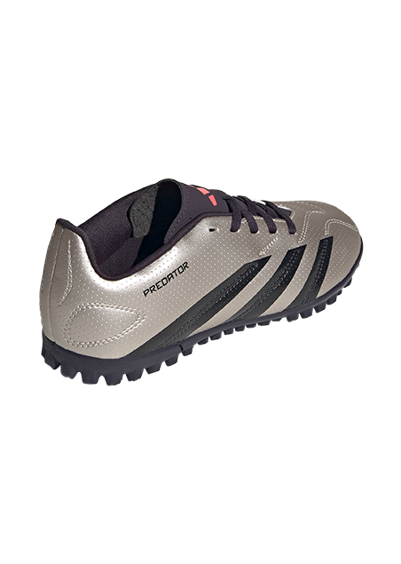 IF6420 - נעלי נמרוד