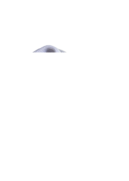 נעלי ספורט סקייט אדידס GRAND COURT MID - נעלי נמרוד